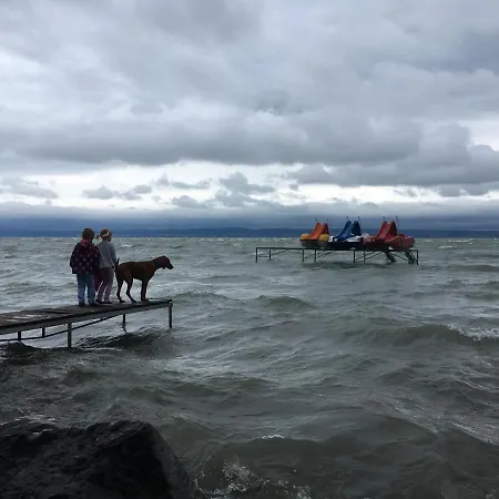 Pitypang Siófok