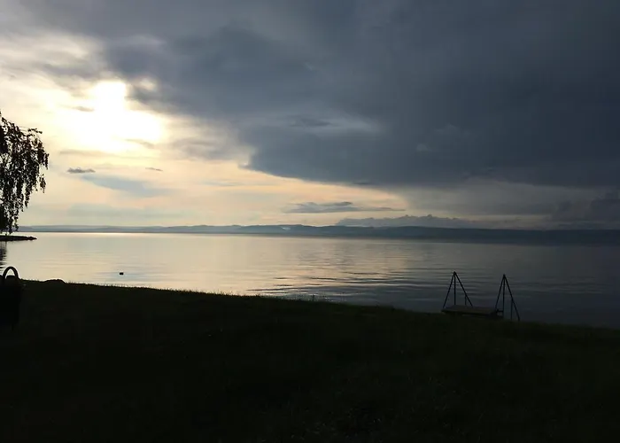 Pitypang Siófok