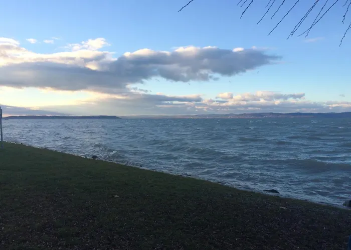 Pitypang Siófok