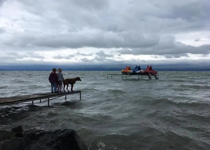 Pitypang Siófok